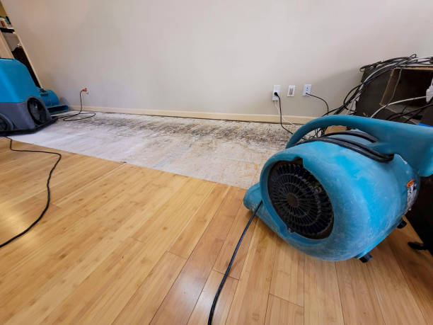 Professional Structural Drying technician working in Brokaw, WI